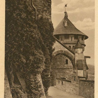Bild vergrößern: PK_I_0275 Wernigerode Schloss Partie auf dem Schloss mit 300-jhr. Efeu