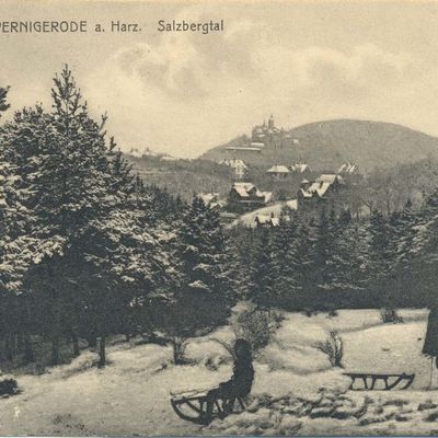 Bild vergrößern: PK_V_0111 Wernigerode Stadtansichten Salzbergtal