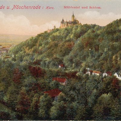 Bild vergrößern: PK_V_0202 Wernigerode Stadtansichten Mhlental und Schloss