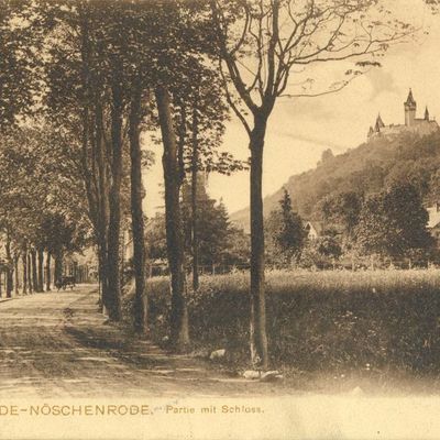 Bild vergrößern: PK_V_0251 Wernigerode Stadtansichten Nöschenrode, Partie mit Schloss