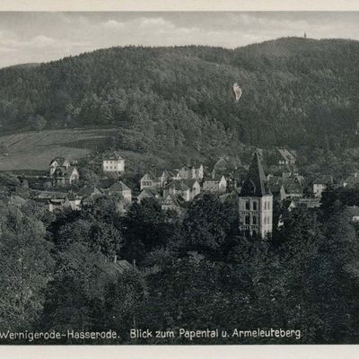 Bild vergrößern: PK_V_0239 Wernigerode Stadtansichten Hasserode, Blick ins Papental u. Armeleuteberg