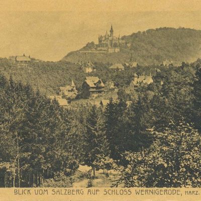 Bild vergrößern: PK_V_0310 Wernigerode Stadtansichten Blick vom Salzberg auf Schloss Wernigerode