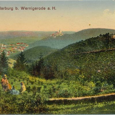 Bild vergrößern: PK_VI_0073 Wernigerode Ausflugsziele Die Harburg bei Wernigerode