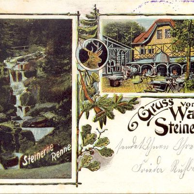 Bild vergrößern: PK_VI_0118 Wernigerode Ausflugsziele Steinerne Renne, Wasserfall Steinerne Renne