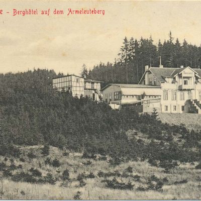 Bild vergrößern: PK_VI_0251 Wernigerode Ausflugsziele Berghotel auf dem Armeleuteberg