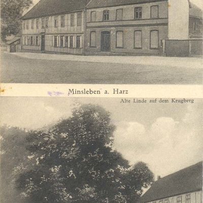Bild vergrößern: PK_X_0009 Wernigerode Eingemeindungen Minsleben, Gasthof zum Gemeindekrug, Alte Linde auf dem Krugberg