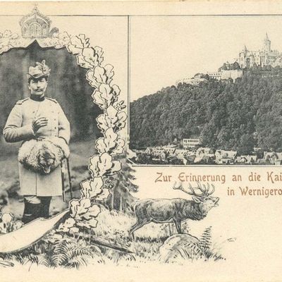 Bild vergrößern: PK_XII_0015 Wernigerode Geschichtl. Ereignisse Zur Erinnerung an die Kaisertage in Wgde.