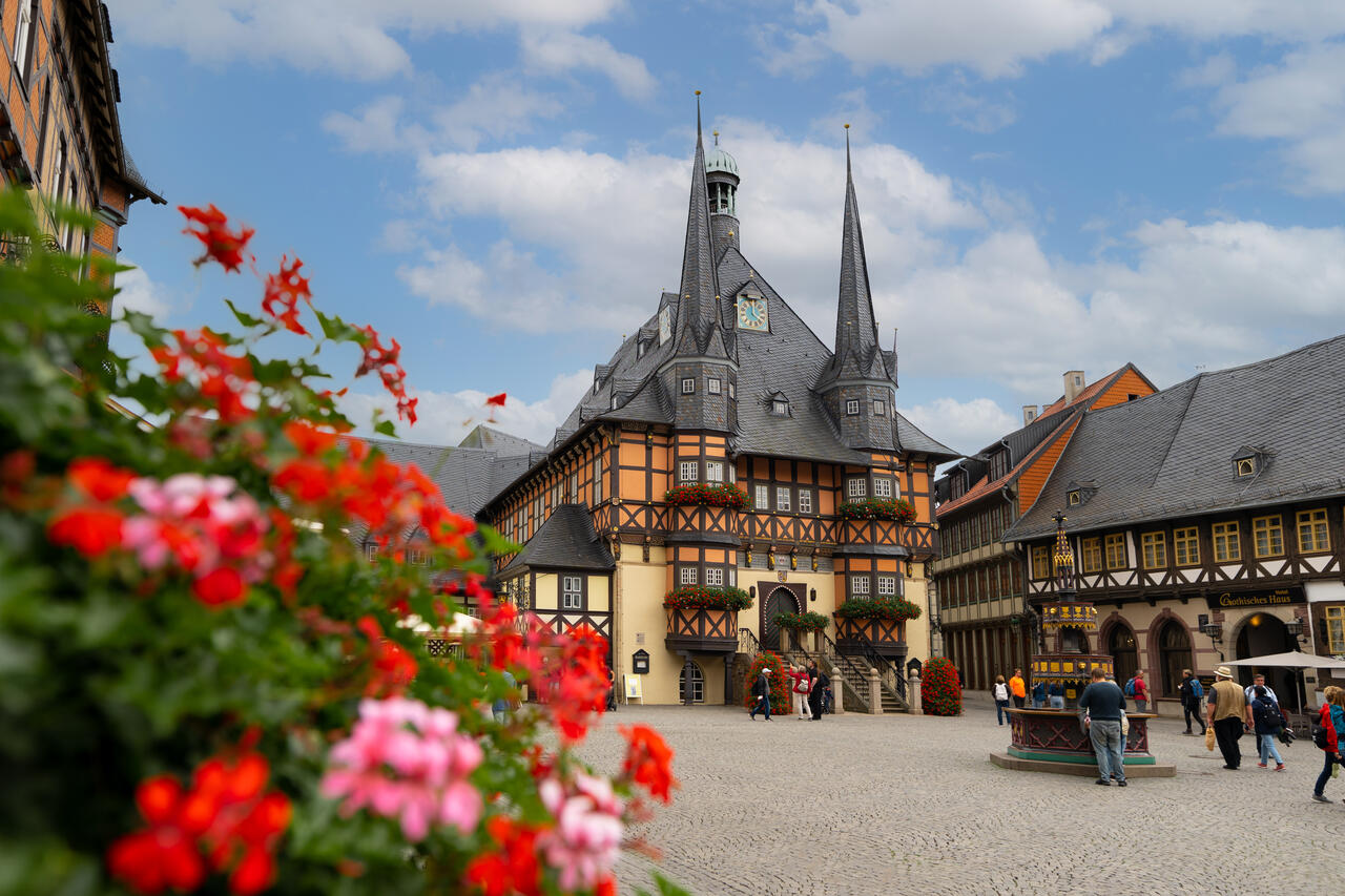 Stadt Wernigerode Marktplatz mit Rathaus