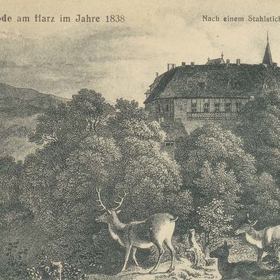 Bild vergrößern: PK_I_0076 Wernigerode Schloss Schloss und Hirsche