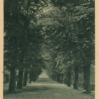 Bild vergrößern: PK_I_0203 Wernigerode Schloss Lindenallee