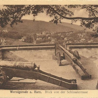 Bild vergrößern: PK_I_0223 Wernigerode Schloss Blick v. Schlossterr.