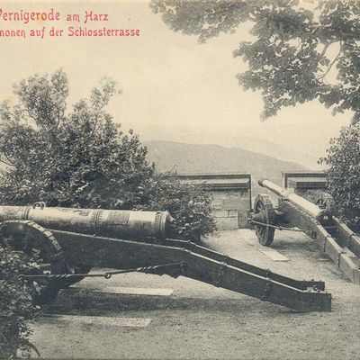 Bild vergrößern: PK_I_0246 Wernigerode Schloss Kanonen a. Schlossterr.