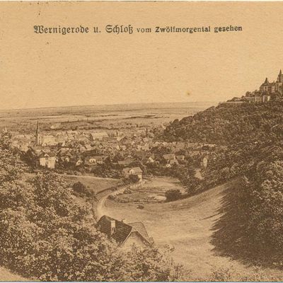 Bild vergrößern: PK_I_0257 Wernigerode Schloss v. Zwölfmorgental ges.