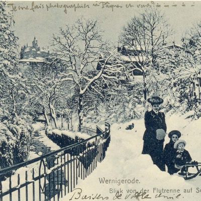 Bild vergrößern: PK_I_0277 Wernigerode Schloss Blick von der Flutrenne auf Schloss