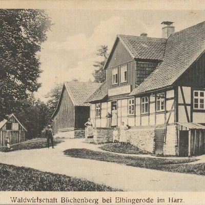 Bild vergrößern: PK_IV_0100 Wernigerode Hotels Büchenberg