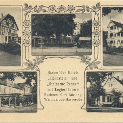 Bild vergrößern: PK_IV_0166 Wernigerode Hotels Hotel Hohnstein und Steinerne Renne