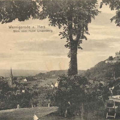 Bild vergrößern: PK_IV_0258 Wernigerode Hotels Blick v. Hotel Lindenberg