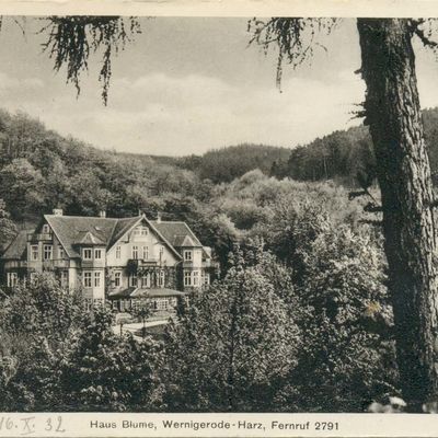 Bild vergrößern: PK_IV_0355 Wernigerode Pensionen Haus Blume