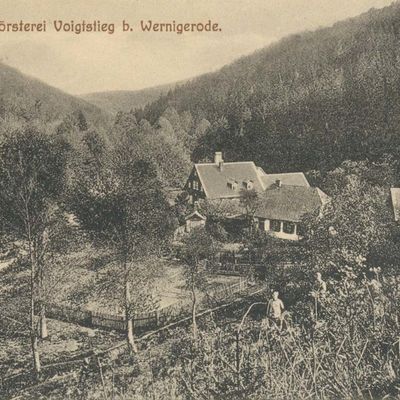 Bild vergrößern: PK_IV_0378 Wernigerode Hotels Försterei Voigtstieg