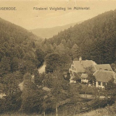 Bild vergrößern: PK_IV_0392 Wernigerode Hotels Försterei Voigtstieg