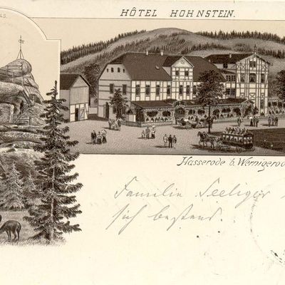 Bild vergrößern: PK_IV_0417 Wernigerode Hotels Hotel Hohnstein u. Ottofels