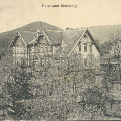 Bild vergrößern: PK_IV_0178 Wernigerode Hotels Hotel am Steinberg