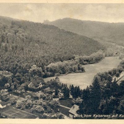 Bild vergrößern: PK_IV_0201 Wernigerode Hotels Blick v. Kaiserweg auf Kurhotel Waldmühle