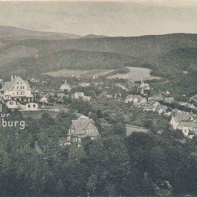 Bild vergrößern: PK_IV_0265 Wernigerode Hotels Hotel zur Waldburg