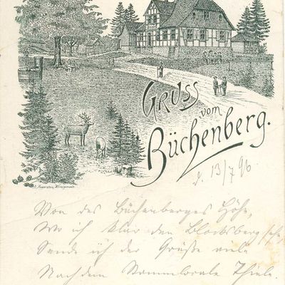 Bild vergrößern: PK_IV_0420 Wernigerode Hotels Gruß vom Büchenberg