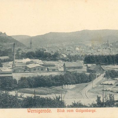 Bild vergrößern: PK_V_0025 Wernigerode Stadtansichten Blick v. Galgenb