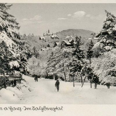 Bild vergrößern: PK_V_0114 Wernigerode Stadtansichten Salzbergtal