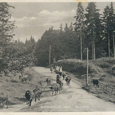 Bild vergrößern: PK_V_0115 Wernigerode Stadtansichten Salzbergtal