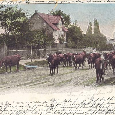 Bild vergrößern: PK_V_0116 Wernigerode Stadtansichten Eingang in das Salzbergtal