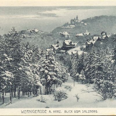 Bild vergrößern: PK_V_0117 Wernigerode Stadtansichten Blick vom Salzbergtal