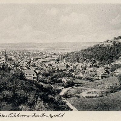 Bild vergrößern: PK_V_0119 Wernigerode Stadtansichten Blick vom Zwölfmorgental