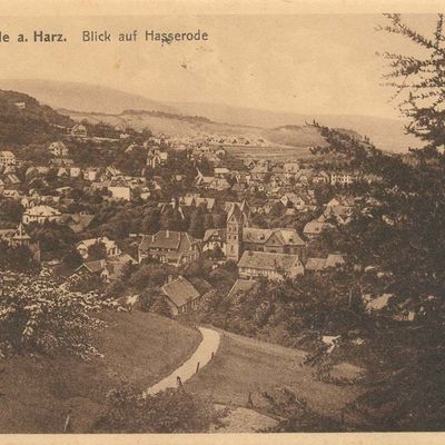 Bild vergrößern: PK_V_0125 Wernigerode Stadtansichten Blick auf Wgd.