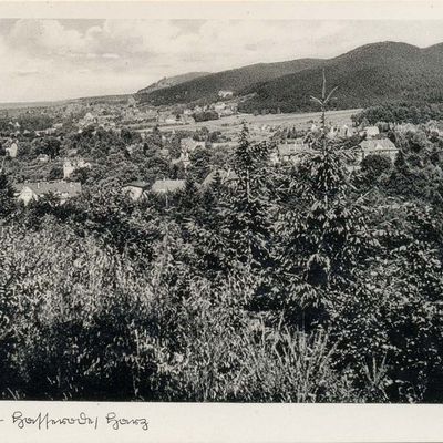 Bild vergrößern: PK_V_0142 Wernigerode Stadtansichten Hasserode