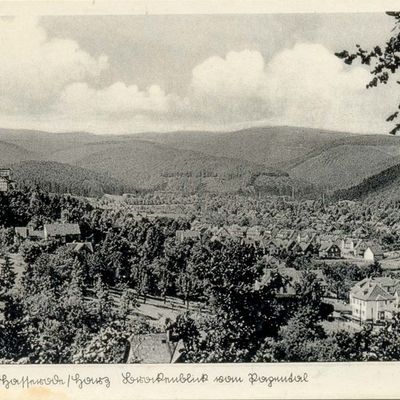 Bild vergrößern: PK_V_0152 Wernigerode Stadtansichten Brockenblick vom Papental