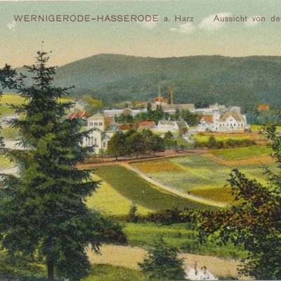 Bild vergrößern: PK_V_0172 Wernigerode Stadtansichten Hasserode, Aussicht von der Kapitelsburg