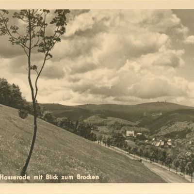 Bild vergrößern: PK_V_0183 Wernigerode Stadtansichten Hasserode mit Blick zum Brocken