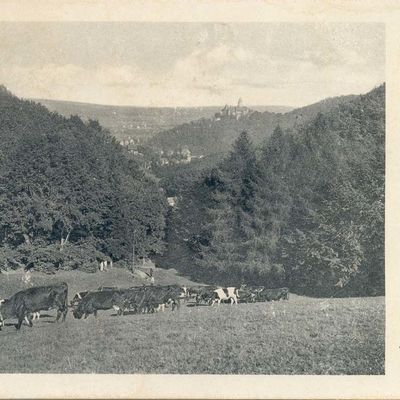 Bild vergrößern: PK_V_0184 Wernigerode Stadtansichten Bollhasental mit Schlossblick