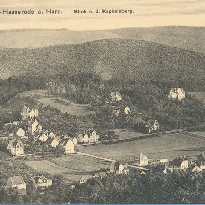 Bild vergrößern: PK_V_0186 Wernigerode Stadtansichten Blick nach dem Kapitelsberg