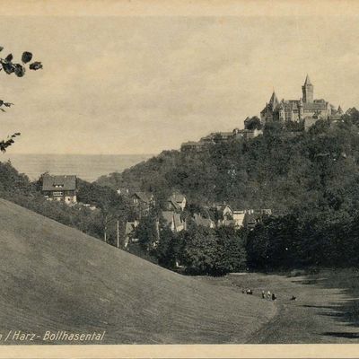 Bild vergrößern: PK_V_0196 Wernigerode Stadtansichten Bollhasental