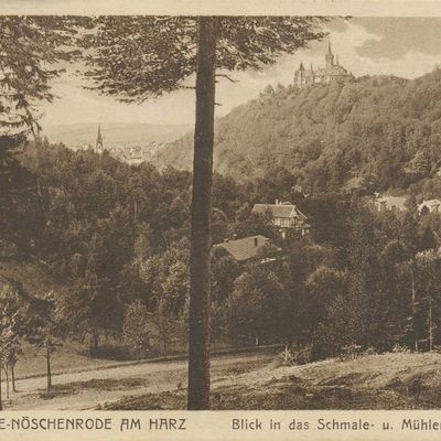 Bild vergrößern: PK_V_0200 Wernigerode Stadtansichten Nöschenrode, Blick in das Schmale u. Mühlental