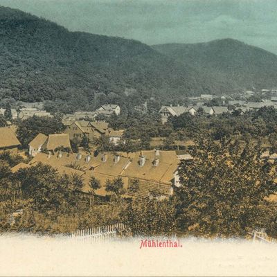 Bild vergrößern: PK_V_0203 Wernigerode Stadtansichten Mühlental