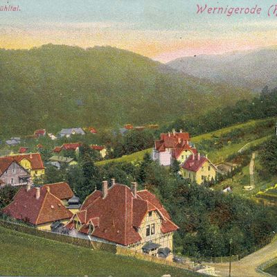 Bild vergrößern: PK_V_0210 Wernigerode Stadtansichten Bollhasen-u. Mühlental