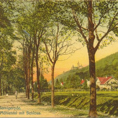 Bild vergrößern: PK_V_0212 Wernigerode Stadtansichten Mühlental mit Schloss