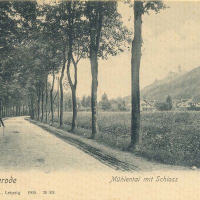 Bild vergrößern: PK_V_0218 Wernigerode Stadtansichten Mühlental m. Schloss