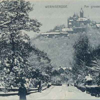 Bild vergrößern: PK_V_0230 Wernigerode Stadtansichten Am großen Bleek