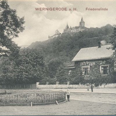 Bild vergrößern: PK_V_0235 Wernigerode Stadtansichten Nöschenrode, Friedenslinde